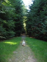 Happy_grace Happy_grace