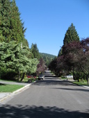 Home_stretch_1 Home_stretch_1