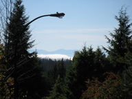 Sarita_view Sarita_view