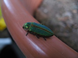 Img_2147_2 Img_2147_2