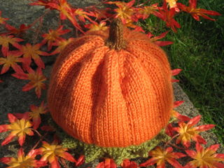 Pumpkin Hat