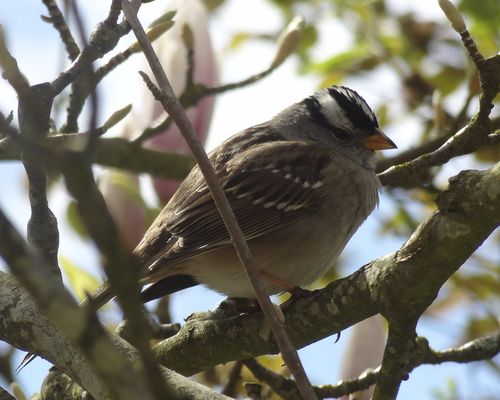 DSC04199 - Version 2