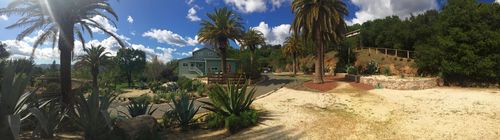 1980250_536025753180676_1293245907_o