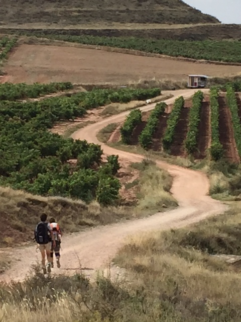 image from http://lifesastitch.typepad.com/.a/6a00d83451d51369e201bb08796f39970d-pi