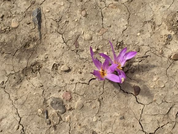 image from http://lifesastitch.typepad.com/.a/6a00d83451d51369e201bb0876ecf3970d-pi image from http://lifesastitch.typepad.com/.a/6a00d83451d51369e201bb0876ecf3970d-pi