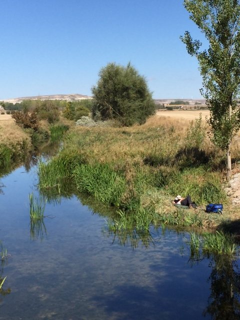 image from http://lifesastitch.typepad.com/.a/6a00d83451d51369e201b8d15a6fa2970c-pi image from http://lifesastitch.typepad.com/.a/6a00d83451d51369e201b8d15a6fa2970c-pi