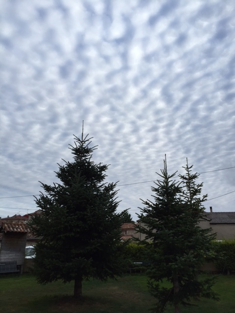 image from http://lifesastitch.typepad.com/.a/6a00d83451d51369e201b8d159797c970c-pi