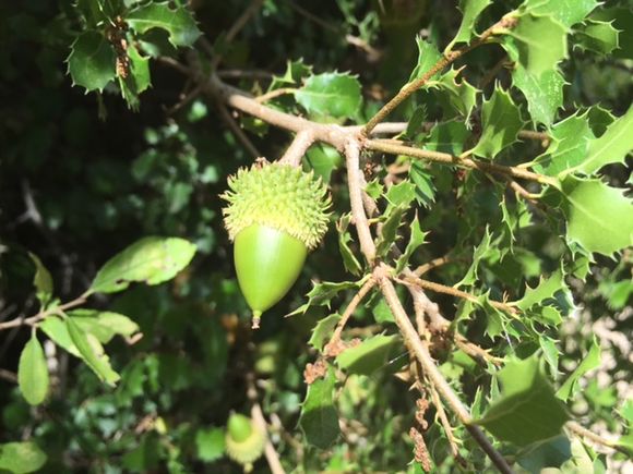 image from http://lifesastitch.typepad.com/.a/6a00d83451d51369e201bb0873d5a9970d-pi