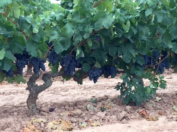 image from http://lifesastitch.typepad.com/.a/6a00d83451d51369e201bb08717474970d-pi