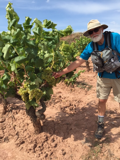 image from http://lifesastitch.typepad.com/.a/6a00d83451d51369e201bb08717479970d-pi