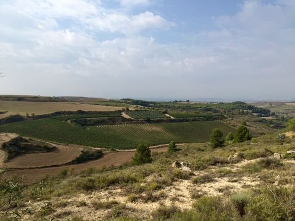 image from http://lifesastitch.typepad.com/.a/6a00d83451d51369e201b8d156408b970c-pi image from http://lifesastitch.typepad.com/.a/6a00d83451d51369e201b8d156408b970c-pi