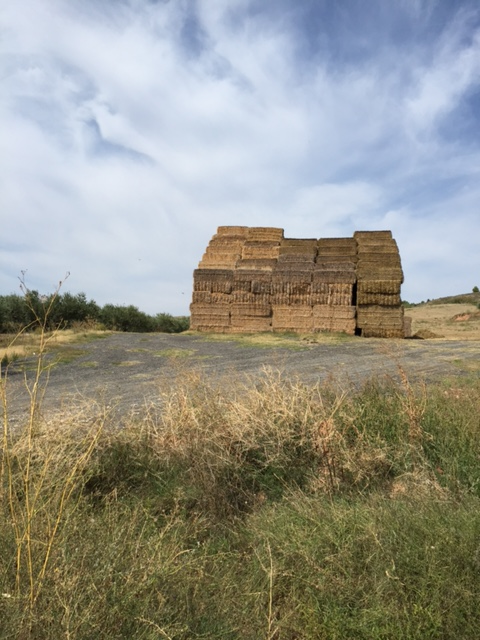 image from http://lifesastitch.typepad.com/.a/6a00d83451d51369e201b7c7cb7b7b970b-pi