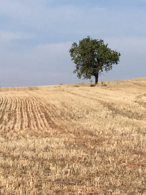 image from http://lifesastitch.typepad.com/.a/6a00d83451d51369e201bb086fd059970d-pi