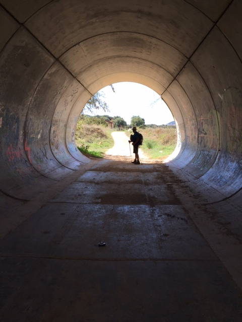 image from http://lifesastitch.typepad.com/.a/6a00d83451d51369e201b8d1552cae970c-pi image from http://lifesastitch.typepad.com/.a/6a00d83451d51369e201b8d1552cae970c-pi