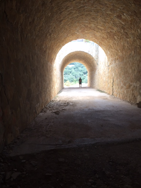 image from http://lifesastitch.typepad.com/.a/6a00d83451d51369e201b8d1548cb9970c-pi