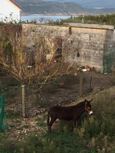 image from http://lifesastitch.typepad.com/.a/6a00d83451d51369e201bb0885a8f5970d-pi image from http://lifesastitch.typepad.com/.a/6a00d83451d51369e201bb0885a8f5970d-pi