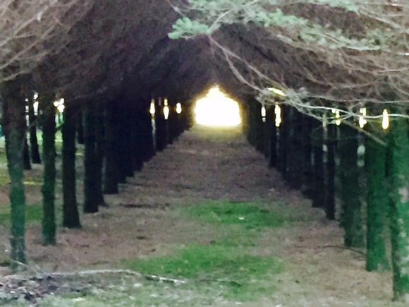 image from http://lifesastitch.typepad.com/.a/6a00d83451d51369e201b7c7df7011970b-pi