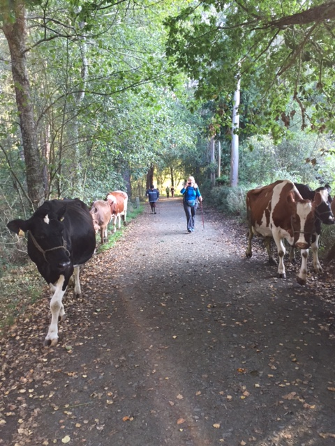 image from http://lifesastitch.typepad.com/.a/6a00d83451d51369e201b8d167e25b970c-pi