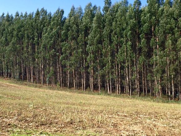 image from http://lifesastitch.typepad.com/.a/6a00d83451d51369e201b8d167e260970c-pi