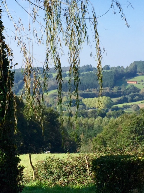 image from http://lifesastitch.typepad.com/.a/6a00d83451d51369e201b8d167e265970c-pi