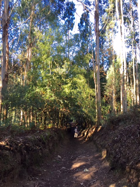 image from http://lifesastitch.typepad.com/.a/6a00d83451d51369e201bb0881f49e970d-pi