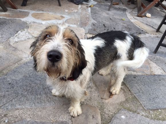 image from http://lifesastitch.typepad.com/.a/6a00d83451d51369e201b7c7ddeed5970b-pi