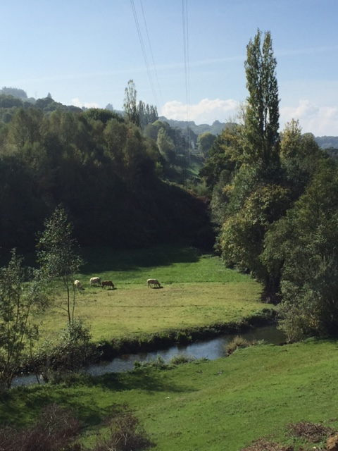 image from http://lifesastitch.typepad.com/.a/6a00d83451d51369e201bb087f9e96970d-pi image from http://lifesastitch.typepad.com/.a/6a00d83451d51369e201bb087f9e96970d-pi