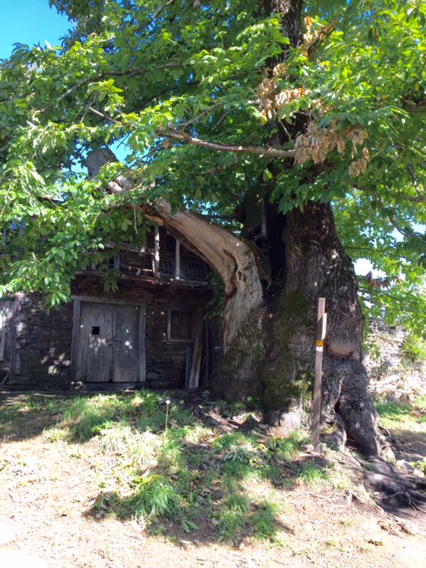 image from http://lifesastitch.typepad.com/.a/6a00d83451d51369e201bb087f9d28970d-pi image from http://lifesastitch.typepad.com/.a/6a00d83451d51369e201bb087f9d28970d-pi