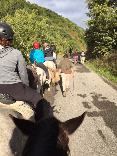 image from http://lifesastitch.typepad.com/.a/6a00d83451d51369e201b8d1658f0f970c-pi