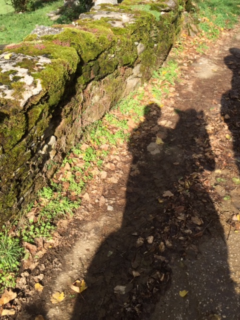 image from http://lifesastitch.typepad.com/.a/6a00d83451d51369e201b8d1658f14970c-pi