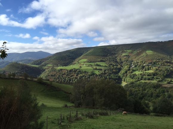 image from http://lifesastitch.typepad.com/.a/6a00d83451d51369e201b7c7db94a0970b-pi