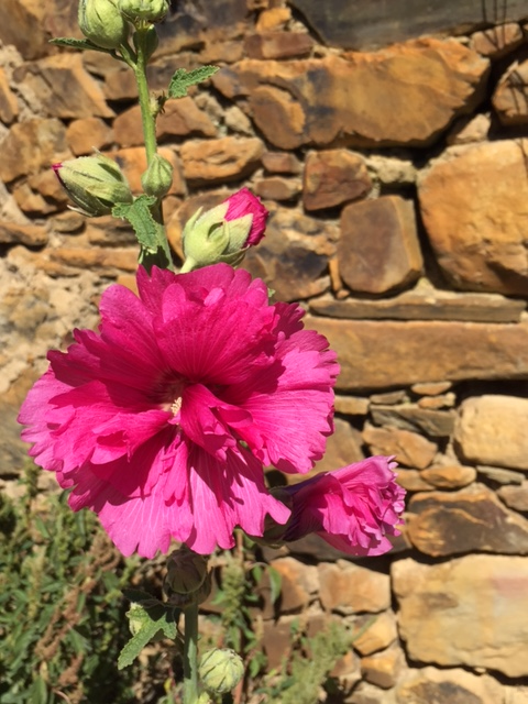 image from http://lifesastitch.typepad.com/.a/6a00d83451d51369e201b7c7d7df19970b-pi