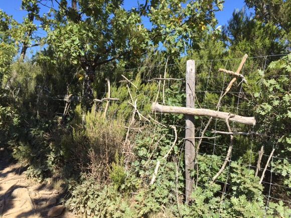 image from http://lifesastitch.typepad.com/.a/6a00d83451d51369e201b7c7d7df1e970b-pi