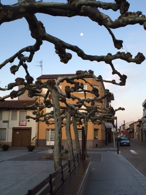 image from http://lifesastitch.typepad.com/.a/6a00d83451d51369e201b8d1606305970c-pi