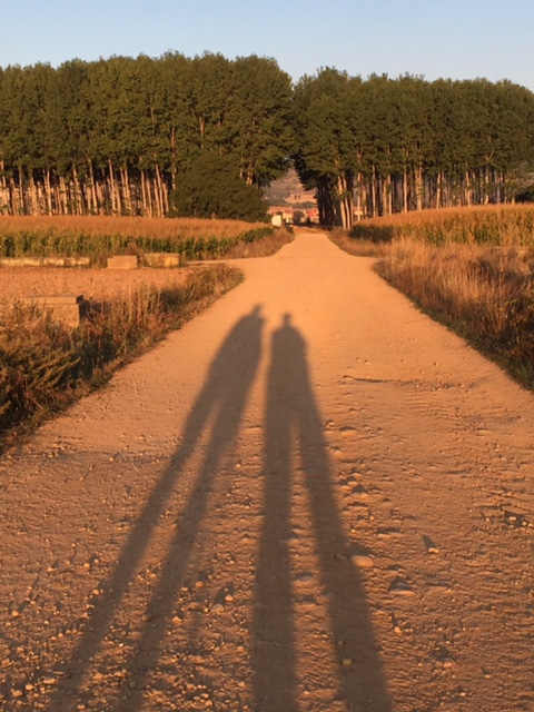 image from http://lifesastitch.typepad.com/.a/6a00d83451d51369e201b7c7d6ac39970b-pi