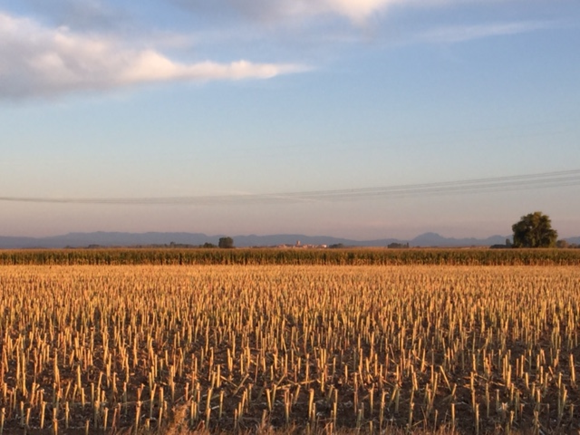 image from http://lifesastitch.typepad.com/.a/6a00d83451d51369e201b8d16062d5970c-pi