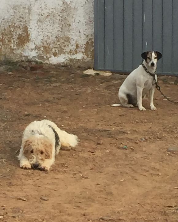 image from http://lifesastitch.typepad.com/.a/6a00d83451d51369e201b7c7d41438970b-pi