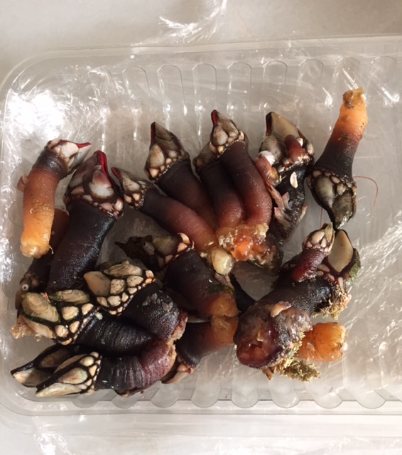 image from http://lifesastitch.typepad.com/.a/6a00d83451d51369e201bb088a292a970d-pi