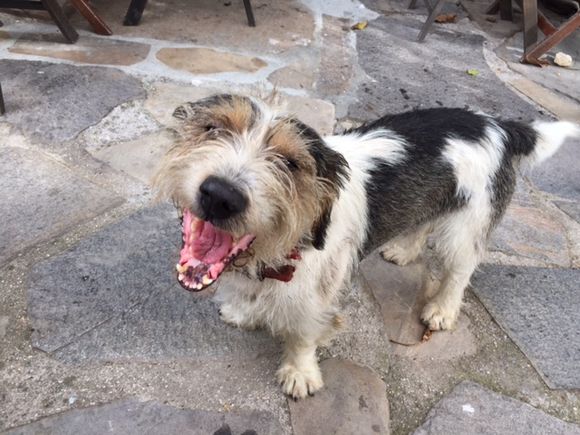 image from http://lifesastitch.typepad.com/.a/6a00d83451d51369e201b7c7e4ffdd970b-pi