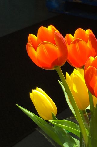 Image3 (1) Image3 (1)