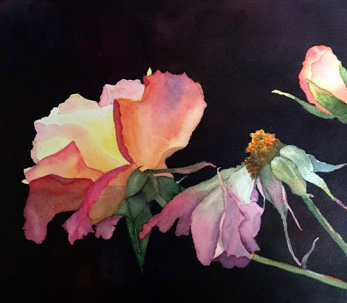 FullSizeRender (15) FullSizeRender (15)