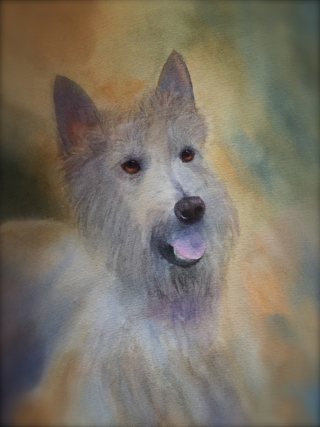 FullSizeRender (19) FullSizeRender (19)