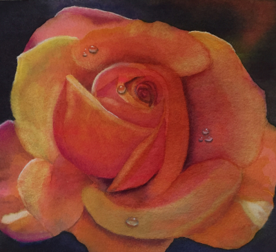 FullSizeRender (34) FullSizeRender (34)