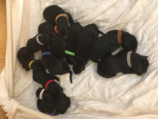 IMG_3895 (2) IMG_3895 (2)