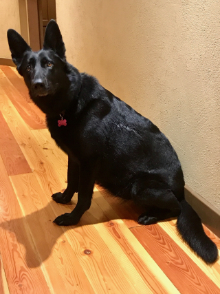 FullSizeRender (78) FullSizeRender (78)