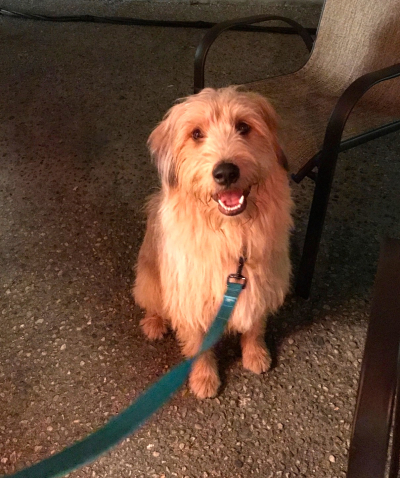 FullSizeRender (76) FullSizeRender (76)