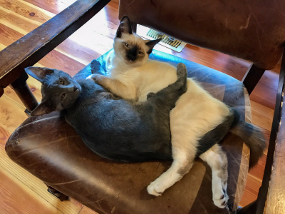 FullSizeRender (74) FullSizeRender (74)