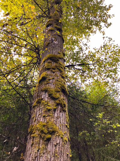 4280FD84-2BEF-4D97-9967-E7C165D8B0E2