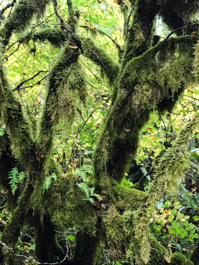 DA939035-5C50-4F41-B0F8-FDA384D7C7D4