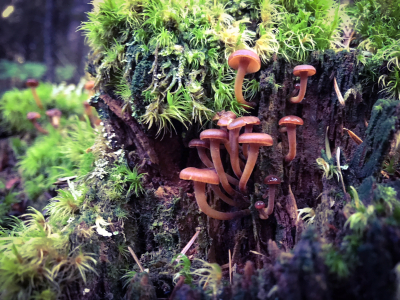 FF80BEE8-1B44-41A4-96A6-EF30A36D648A